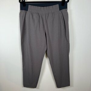 PrAna Womens Hybridizer Pants Brown Pocket Hiking Outdoor Campcore Stretch Large